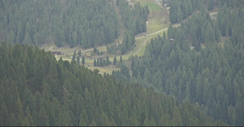 Webcam San Martino di Castrozza - Passo Rolle - Ces - Malga Valcigolera