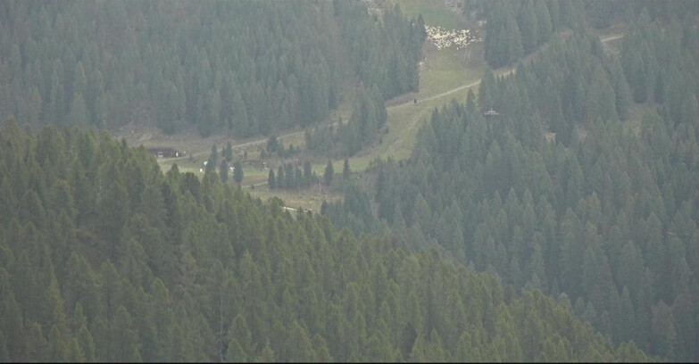 Webcam San Martino di Castrozza - Passo Rolle - Ces - Malga Valcigolera