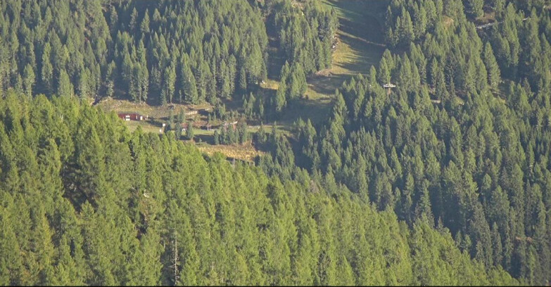 Webcam San Martino di Castrozza - Passo Rolle - Ces - Malga Valcigolera