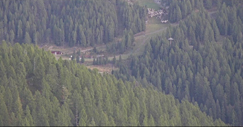 Webcam San Martino di Castrozza - Passo Rolle - Ces - Malga Valcigolera