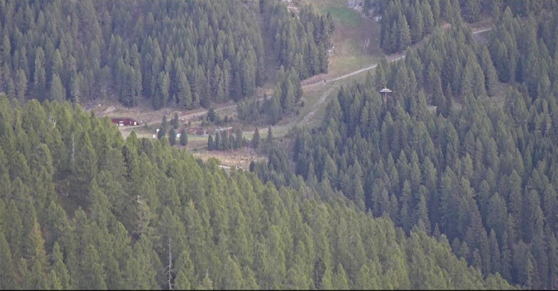 Webcam Сан-Мартино-ди-Кастроцца - Пассо-Ролле - Ces - Malga Valcigolera