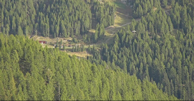 Webcam Сан-Мартино-ди-Кастроцца - Пассо-Ролле - Ces - Malga Valcigolera