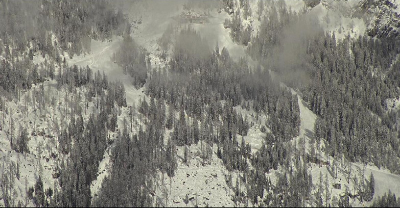 Webcam San Martino di Castrozza - Passo Rolle  - Ski Area Col Verde