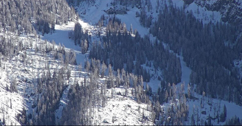 Webcam Сан-Мартино-ди-Кастроцца - Пассо-Ролле - Ski Area Col Verde