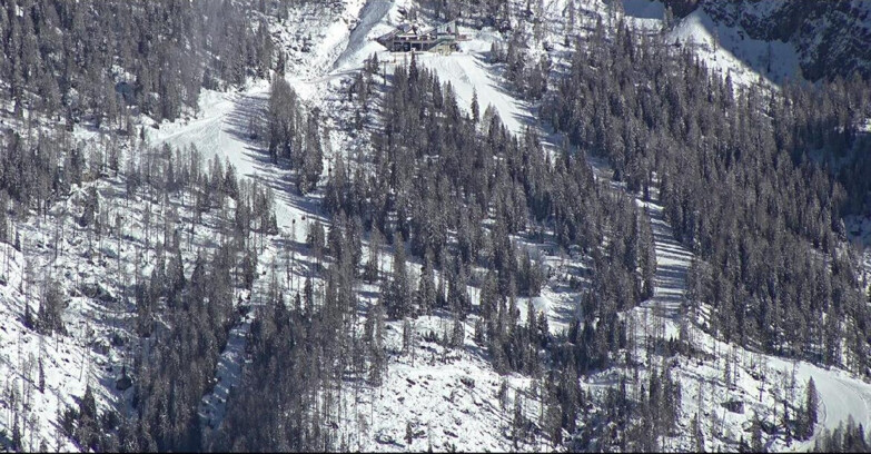 Webcam Сан-Мартино-ди-Кастроцца - Пассо-Ролле - Ski Area Col Verde