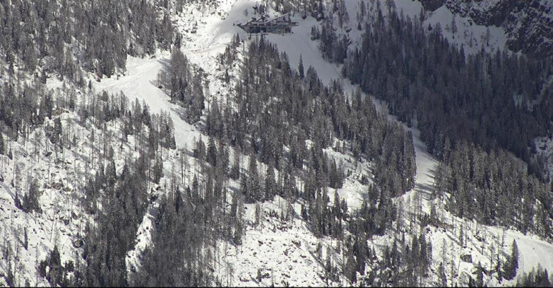 Webcam Сан-Мартино-ди-Кастроцца - Пассо-Ролле - Ski Area Col Verde