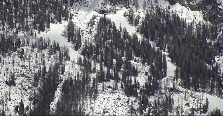 Webcam San Martino di Castrozza - Passo Rolle - Ski Area Col Verde