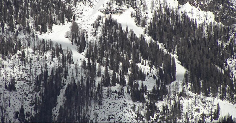 Webcam San Martino di Castrozza - Passo Rolle - Ski Area Col Verde