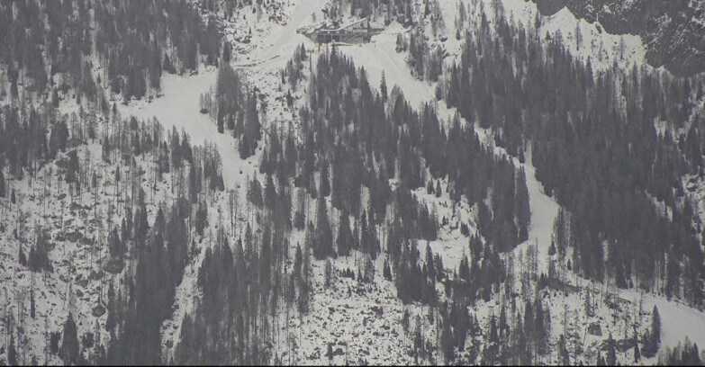 Webcam Сан-Мартино-ди-Кастроцца - Пассо-Ролле - Ski Area Col Verde