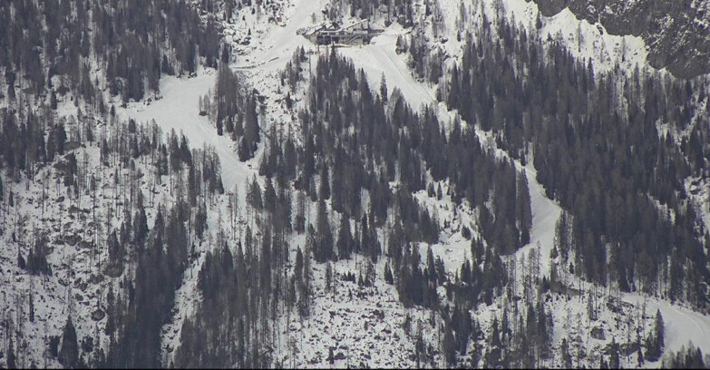 Webcam Сан-Мартино-ди-Кастроцца - Пассо-Ролле - Ski Area Col Verde