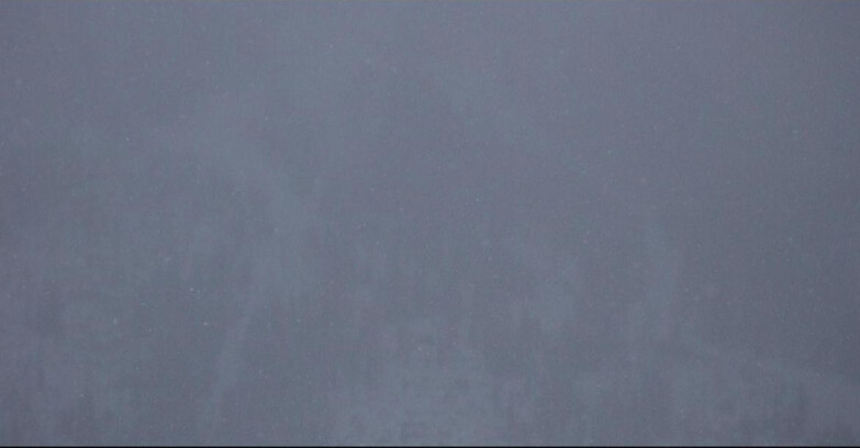 Webcam Сан-Мартино-ди-Кастроцца - Пассо-Ролле - Ski Area Col Verde