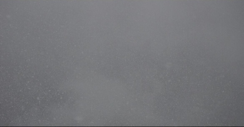 Webcam Сан-Мартино-ди-Кастроцца - Пассо-Ролле - Ski Area Col Verde