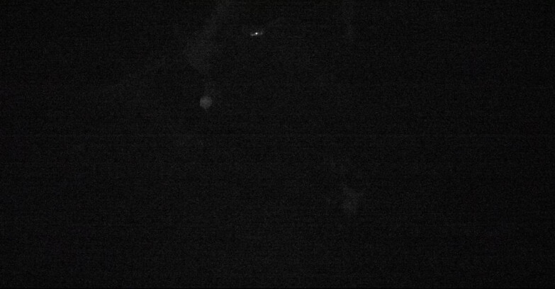 Webcam San Martino di Castrozza - Passo Rolle - Ski Area Col Verde