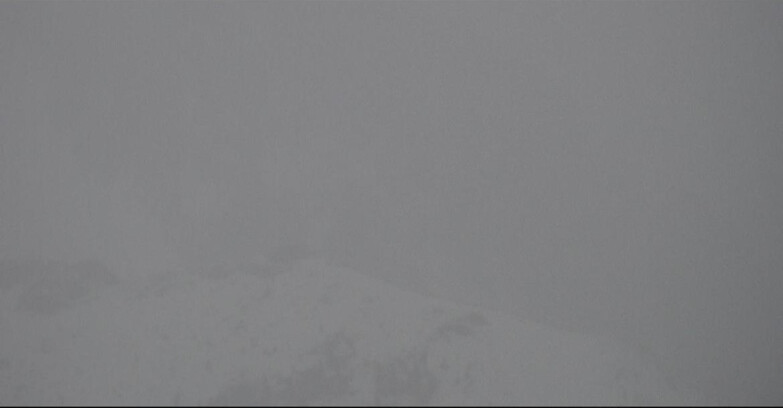 Webcam Сан-Мартино-ди-Кастроцца - Пассо-Ролле - Punta Ces