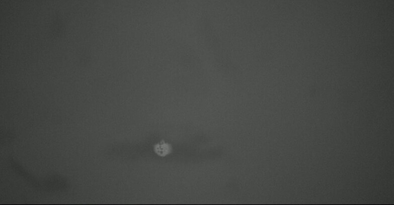 Webcam San Martino di Castrozza - Passo Rolle - Tognola - Rampone delle Malghe