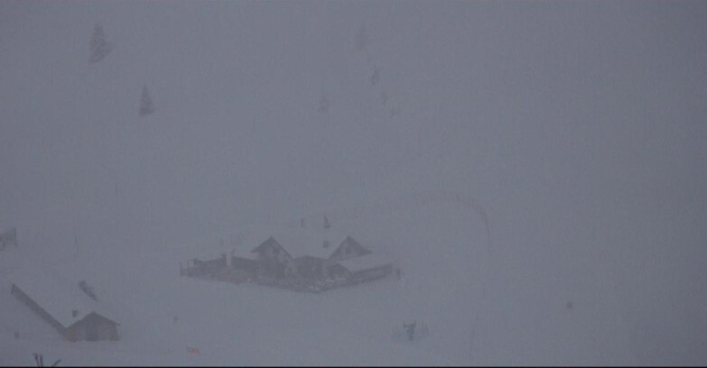 Webcam San Martino di Castrozza - Passo Rolle - Tognola - Rampone delle Malghe