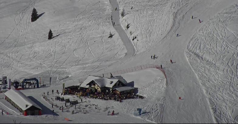 Webcam Сан-Мартино-ди-Кастроцца - Пассо-Ролле - Tognola - Rampone delle Malghe