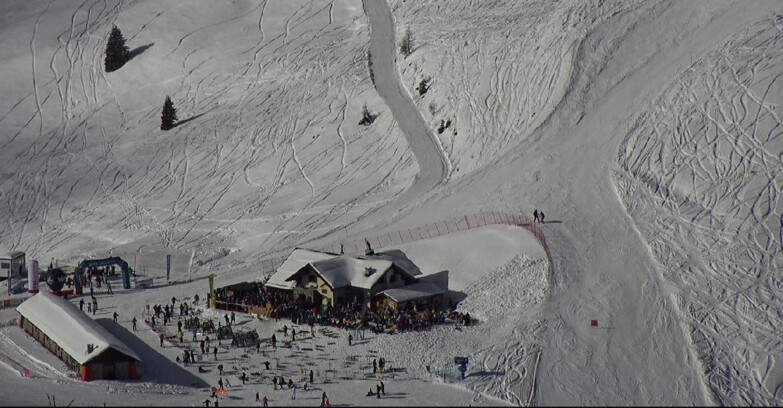 Webcam Сан-Мартино-ди-Кастроцца - Пассо-Ролле - Tognola - Rampone delle Malghe