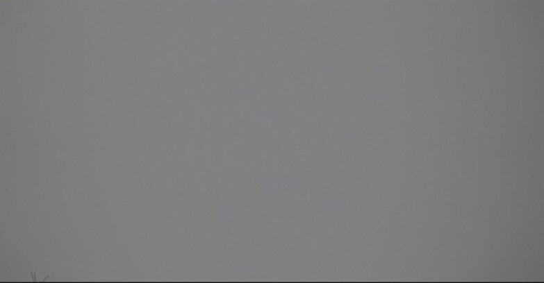 Webcam San Martino di Castrozza - Passo Rolle  - Tognola - Rampone delle Malghe