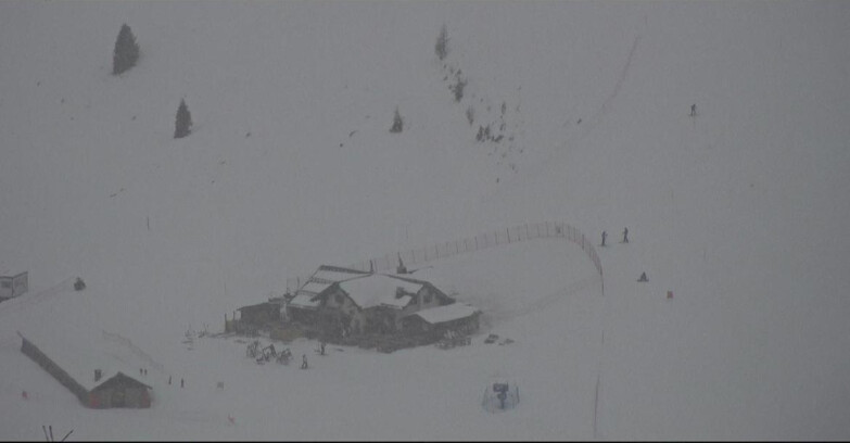 Webcam Сан-Мартино-ди-Кастроцца - Пассо-Ролле - Tognola - Rampone delle Malghe