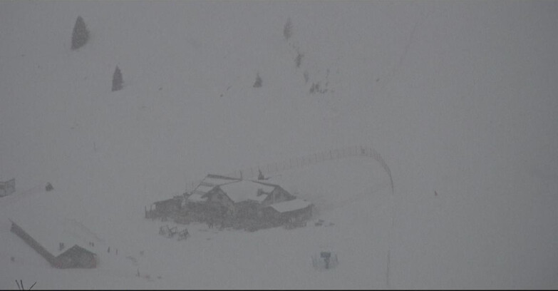 Webcam Сан-Мартино-ди-Кастроцца - Пассо-Ролле - Tognola - Rampone delle Malghe