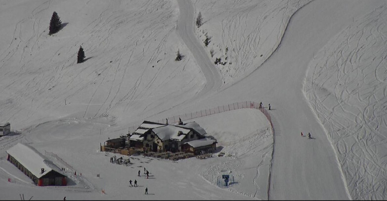 Webcam Сан-Мартино-ди-Кастроцца - Пассо-Ролле - Tognola - Rampone delle Malghe