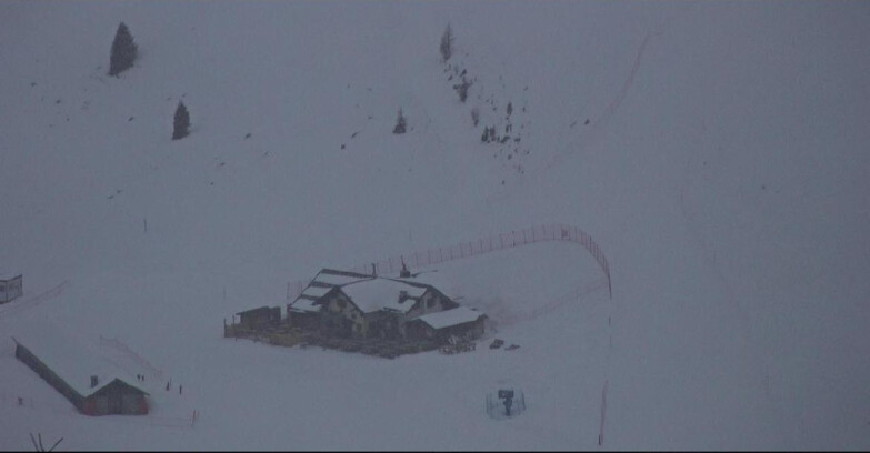 Webcam Сан-Мартино-ди-Кастроцца - Пассо-Ролле - Tognola - Rampone delle Malghe