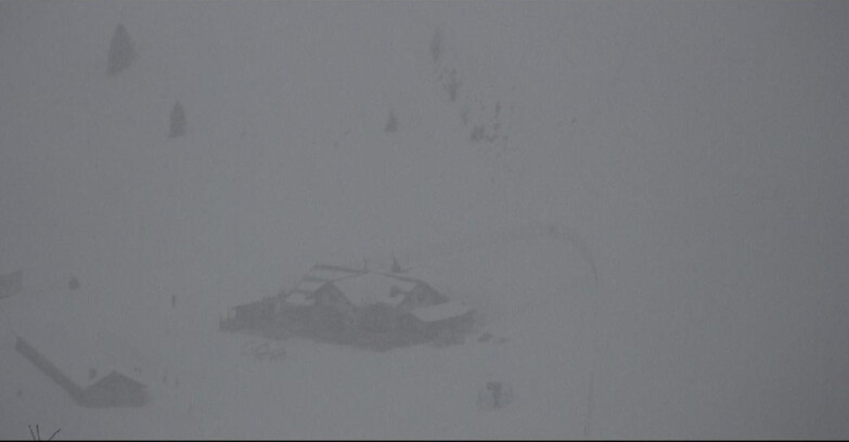 Webcam Сан-Мартино-ди-Кастроцца - Пассо-Ролле - Tognola - Rampone delle Malghe