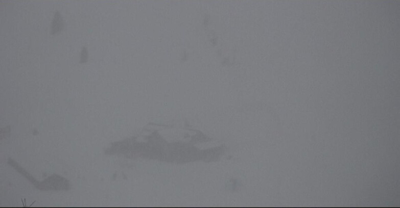 Webcam Сан-Мартино-ди-Кастроцца - Пассо-Ролле - Tognola - Rampone delle Malghe