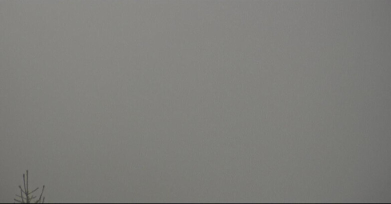 Webcam San Martino di Castrozza - Passo Rolle  - Tognola - Rampone delle Malghe