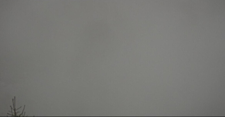 Webcam San Martino di Castrozza - Passo Rolle  - Tognola - Rampone delle Malghe