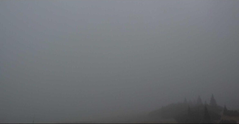 Webcam Сан-Мартино-ди-Кастроцца - Пассо-Ролле - Passo Rolle - Il Cimone Webcam Сан-Мартино-ди-Кастроцца - Пассо-Ролле - Passo Rolle - Il Cimone