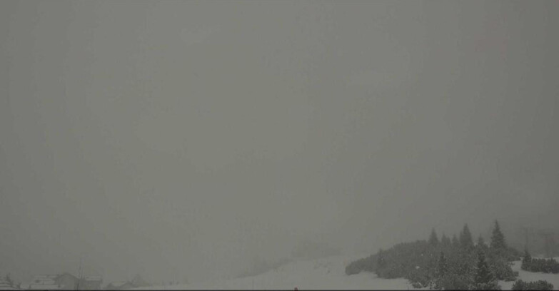 Webcam San Martino di Castrozza - Passo Rolle - Passo Rolle - Il Cimone