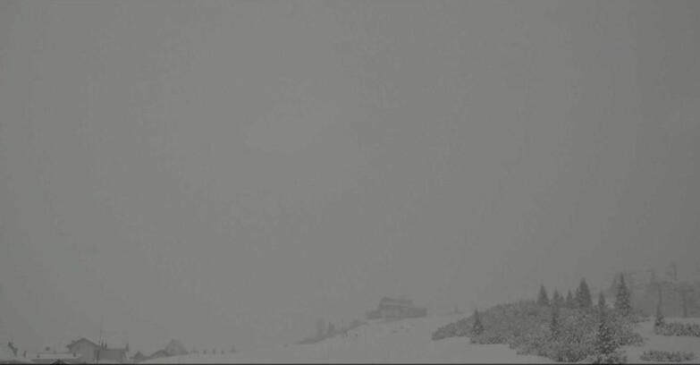 Webcam San Martino di Castrozza - Passo Rolle - Passo Rolle - Il Cimone