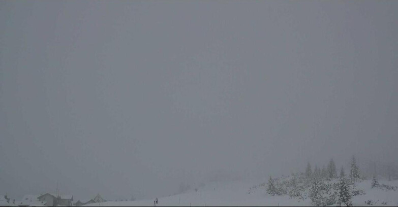 Webcam San Martino di Castrozza - Passo Rolle - Passo Rolle - Il Cimone