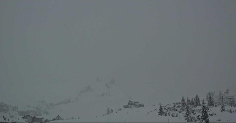 Webcam San Martino di Castrozza - Passo Rolle - Passo Rolle - Il Cimone