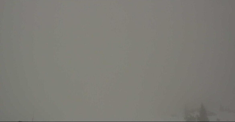 Webcam San Martino di Castrozza - Passo Rolle - Passo Rolle - Il Cimone