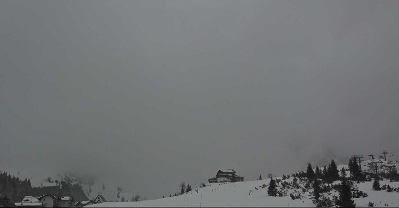 Webcam San Martino di Castrozza - Passo Rolle - Passo Rolle - Il Cimone