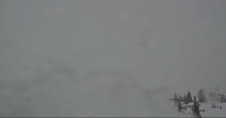 Webcam Сан-Мартино-ди-Кастроцца - Пассо-Ролле - Passo Rolle - Il Cimone