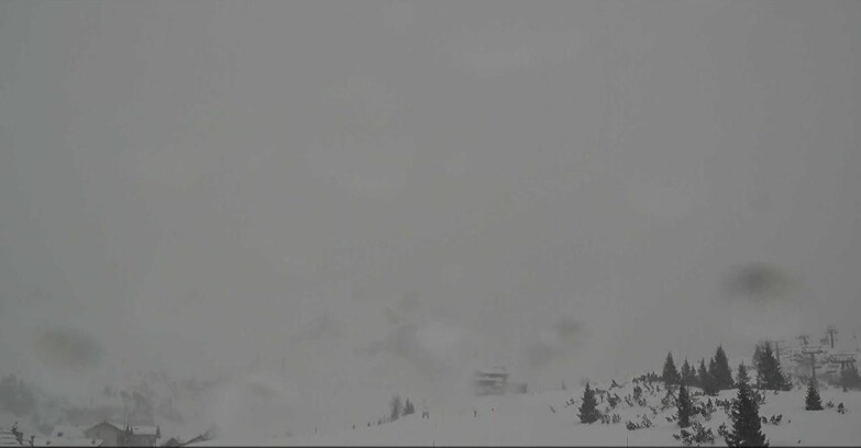 Webcam Сан-Мартино-ди-Кастроцца - Пассо-Ролле - Passo Rolle - Il Cimone