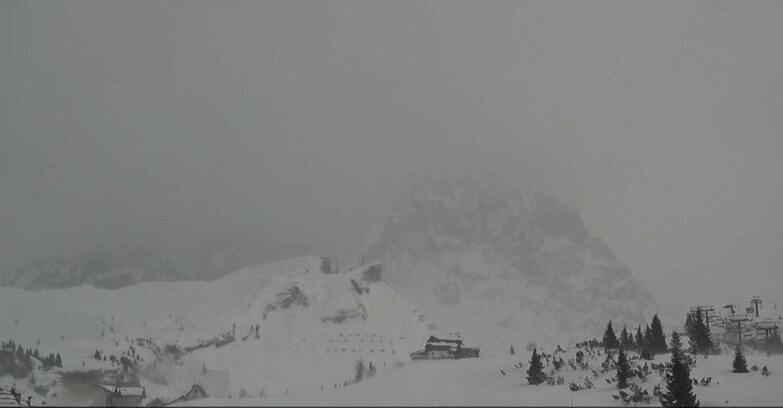 Webcam Сан-Мартино-ди-Кастроцца - Пассо-Ролле - Passo Rolle - Il Cimone