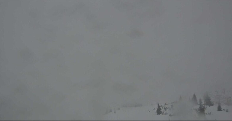 Webcam Сан-Мартино-ди-Кастроцца - Пассо-Ролле - Passo Rolle - Il Cimone