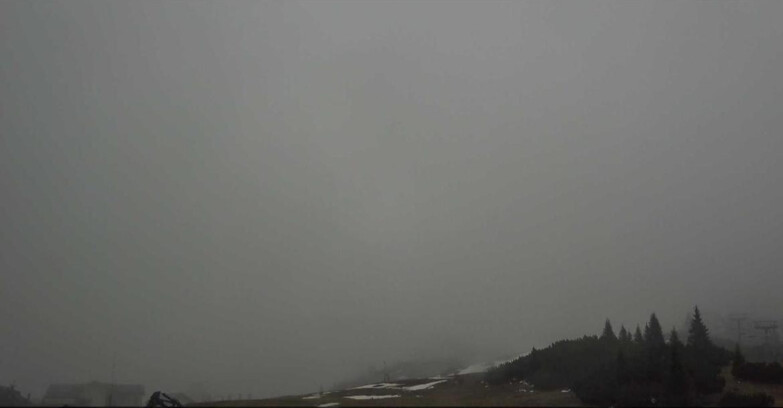 Webcam San Martino di Castrozza - Passo Rolle  - Passo Rolle - Il Cimone