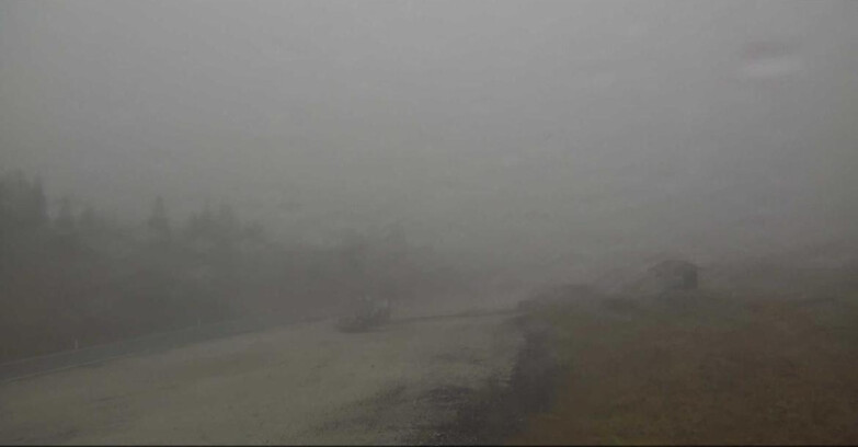 Webcam Сан-Мартино-ди-Кастроцца - Пассо-Ролле - Passo Rolle - Castellazzo Webcam Сан-Мартино-ди-Кастроцца - Пассо-Ролле - Passo Rolle - Castellazzo