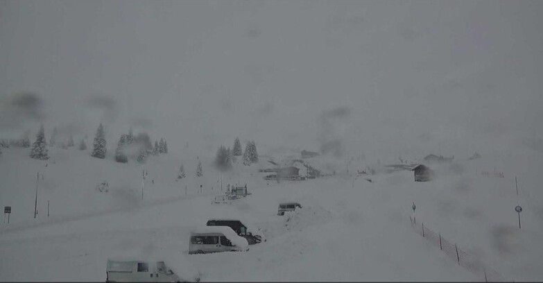 Webcam San Martino di Castrozza - Passo Rolle  - Passo Rolle - Castellazzo