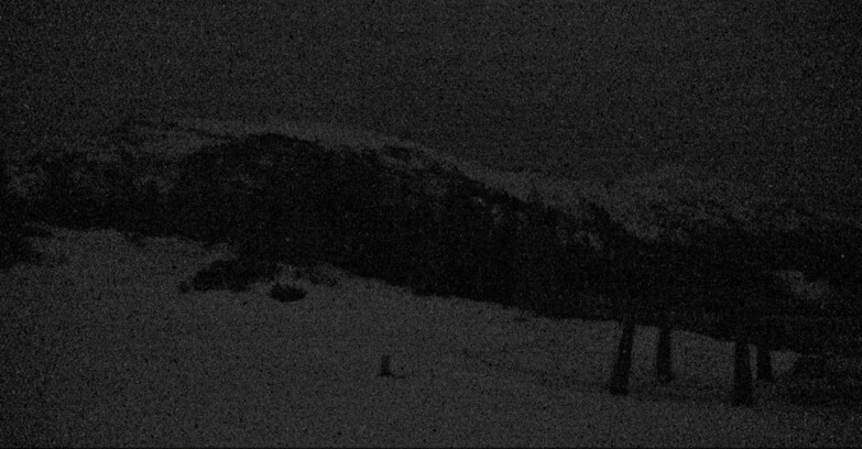 Webcam San Martino di Castrozza - Passo Rolle - Passo Rolle - il Cimone