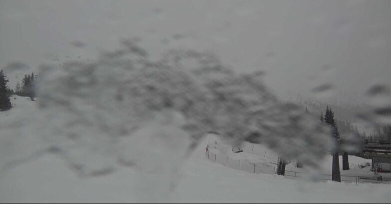 Webcam Сан-Мартино-ди-Кастроцца - Пассо-Ролле - Passo Rolle - il Cimone