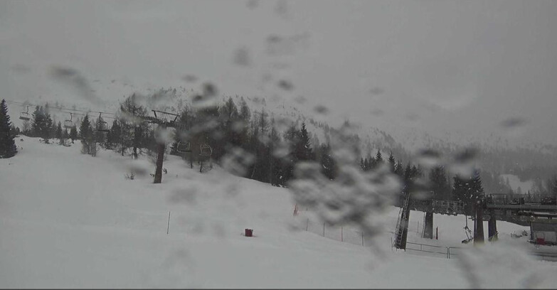 Webcam Сан-Мартино-ди-Кастроцца - Пассо-Ролле - Passo Rolle - il Cimone