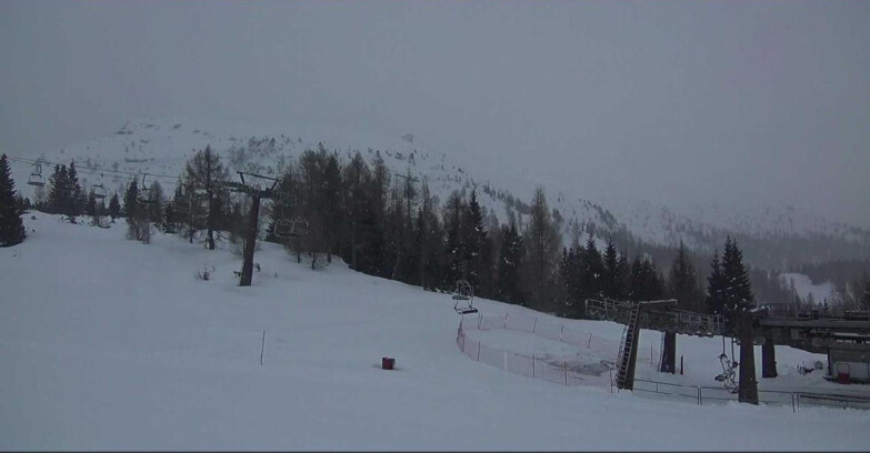 Webcam Сан-Мартино-ди-Кастроцца - Пассо-Ролле - Passo Rolle - il Cimone