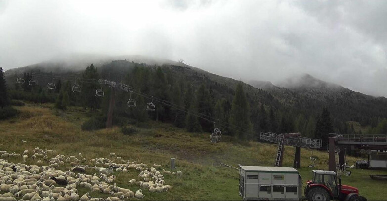 Webcam San Martino di Castrozza - Passo Rolle - Passo Rolle - Le Pale